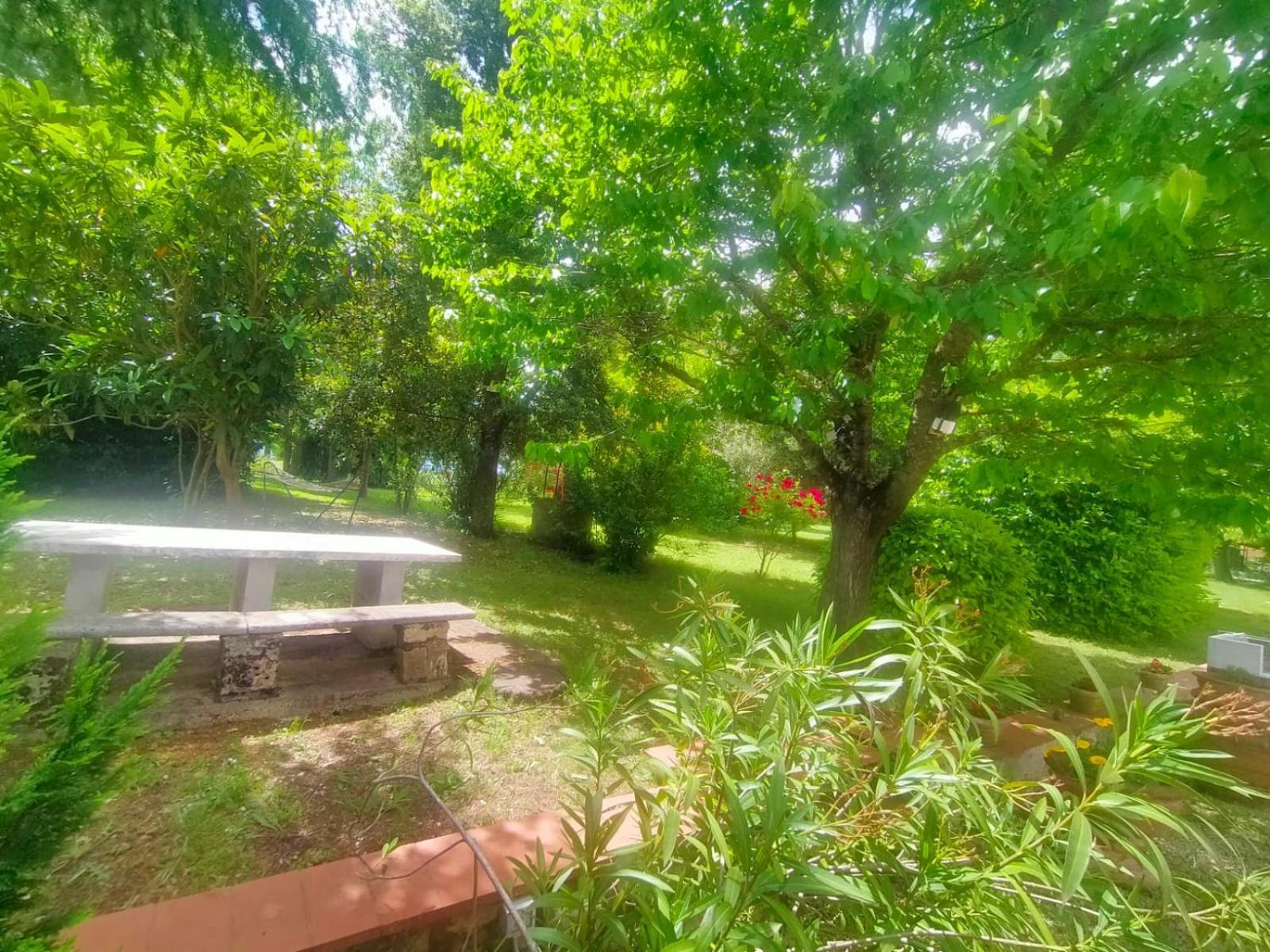 Con Parco Vicino San Gimignano Holiday home