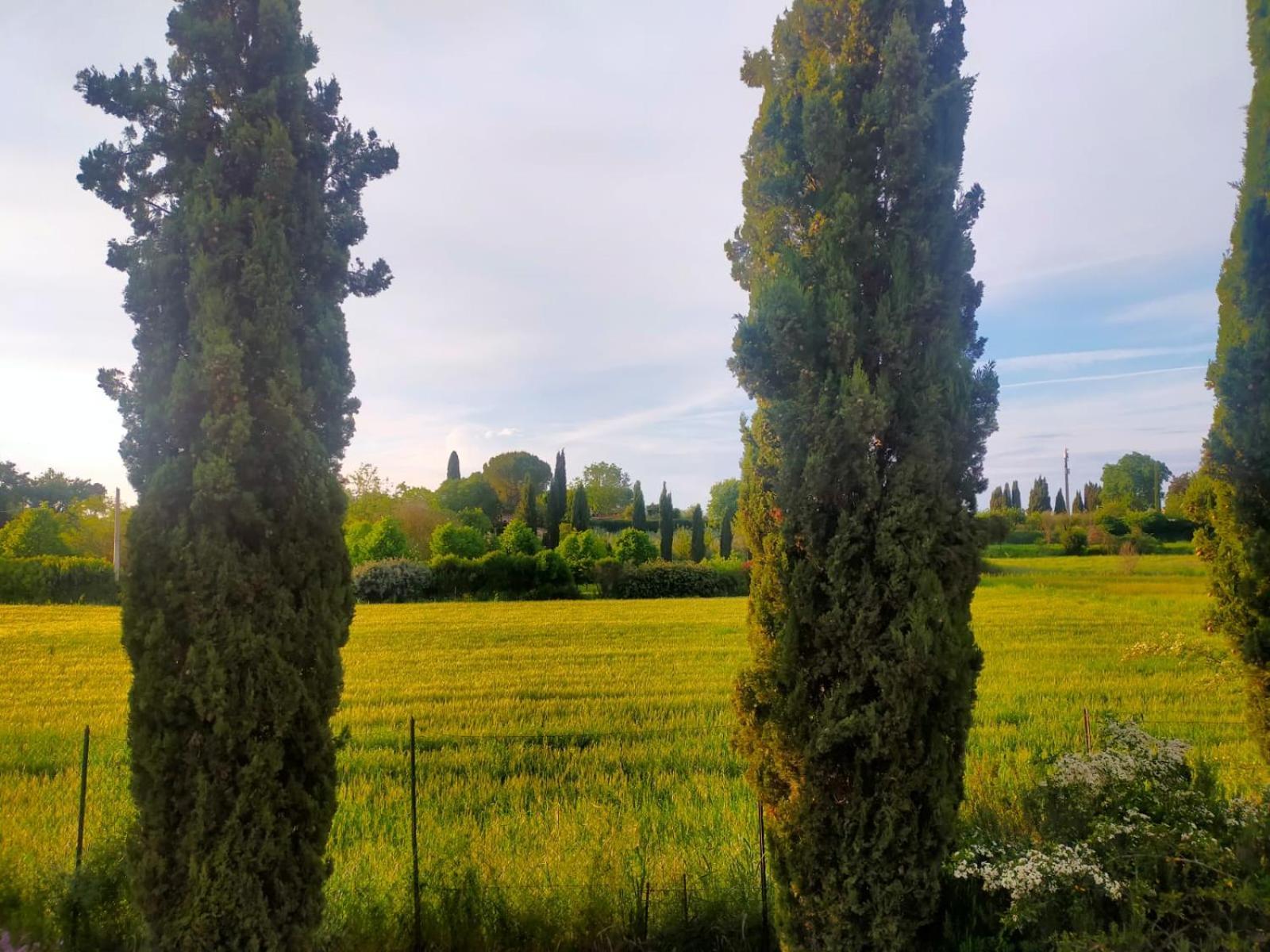 Con Parco Vicino San Gimignano Colle Val D'Elsa